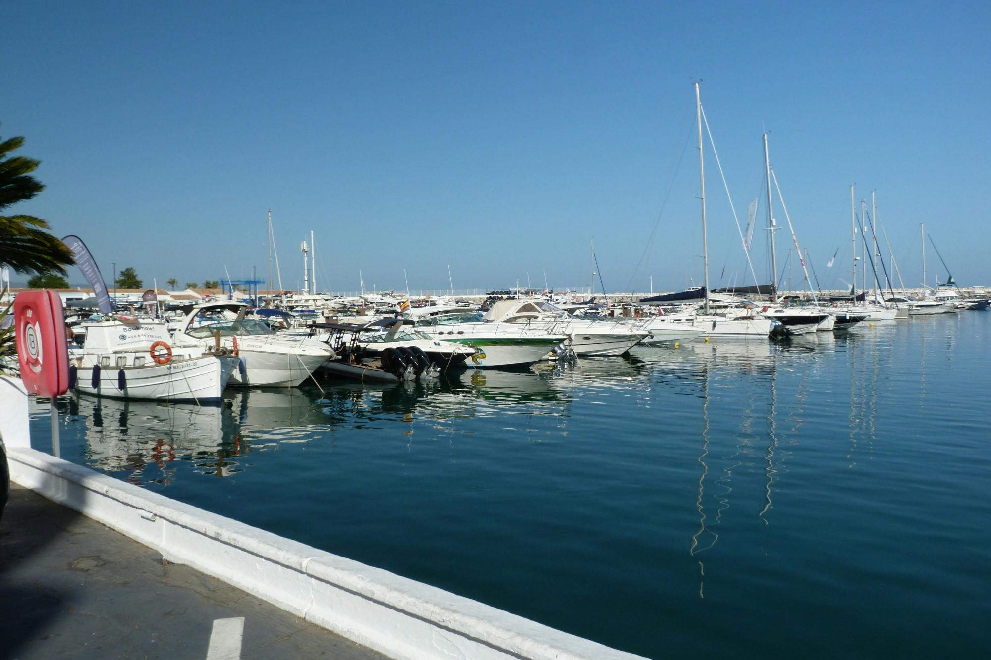 Activity Image