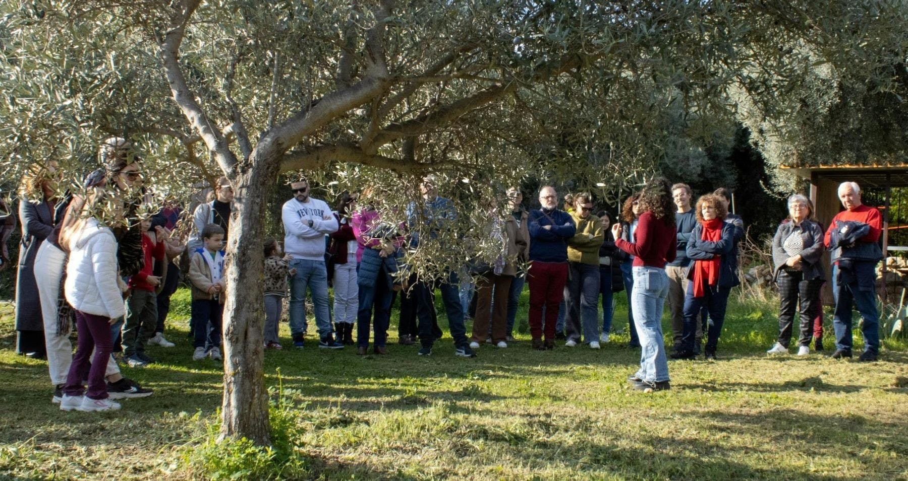 Biologische Siciliaanse honingproeverij en bijenteelt tour