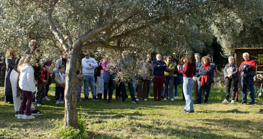 Organic Sicilian honey tasting and beekeeping tour
