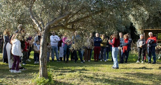 Biologische Siciliaanse honingproeverij en bijenteelt tour