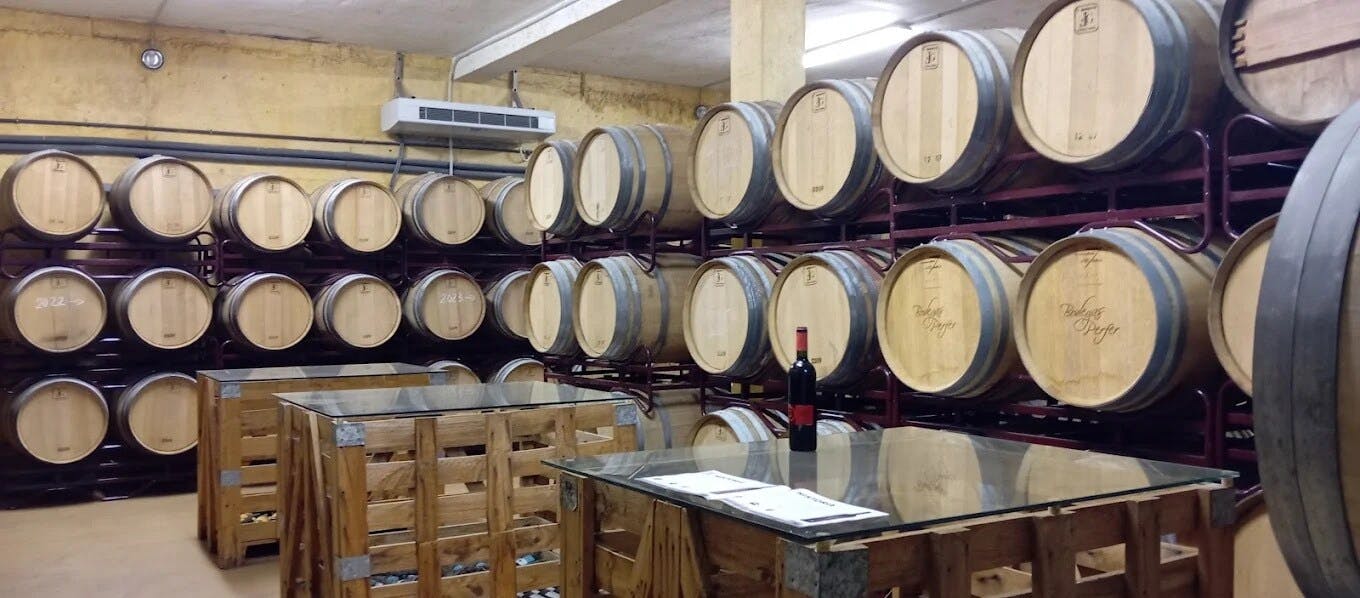 Full-day flavours of Almeria olive oil and wine-tasting tour