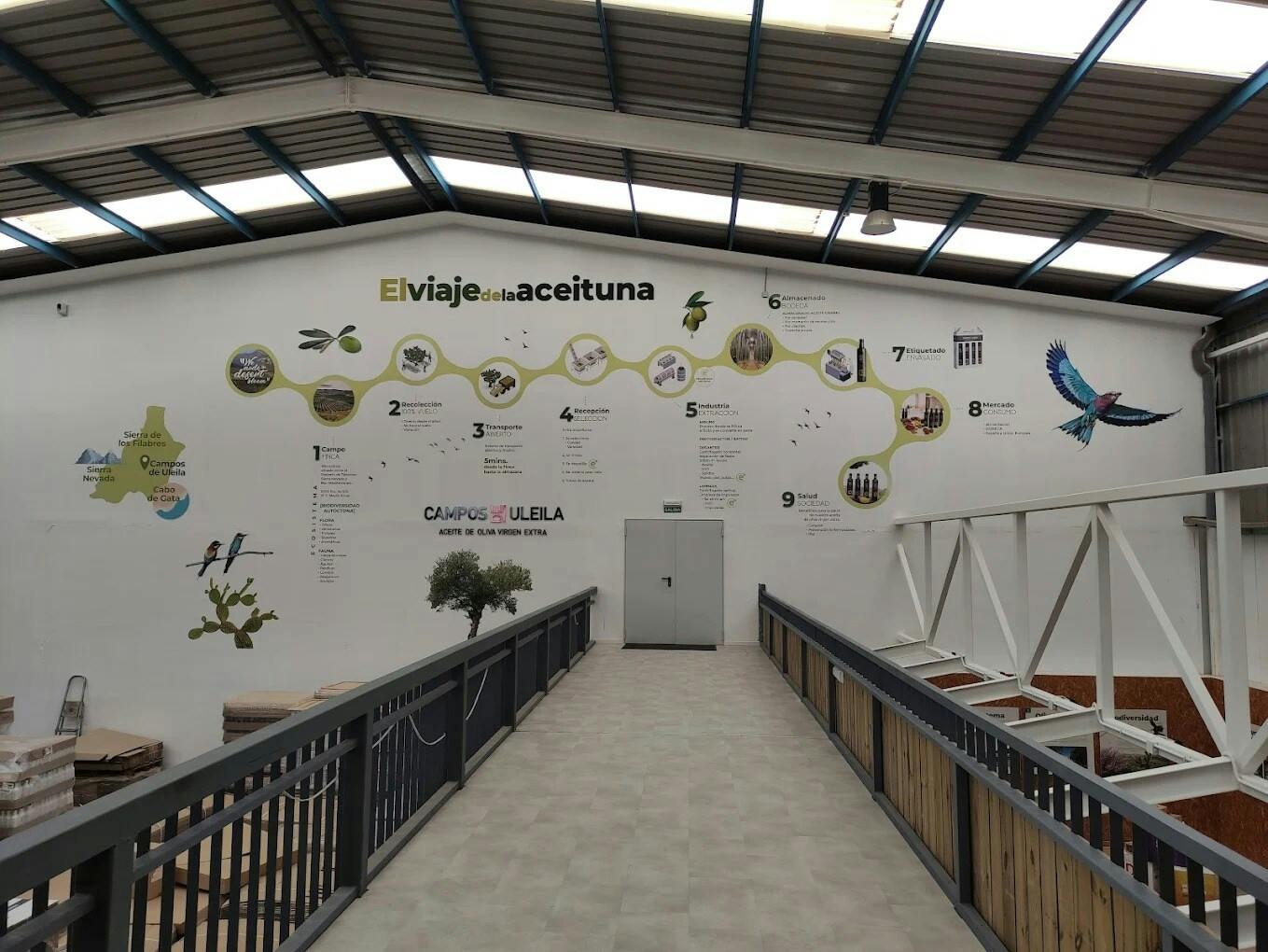 Full-day flavours of Almeria olive oil and wine-tasting tour