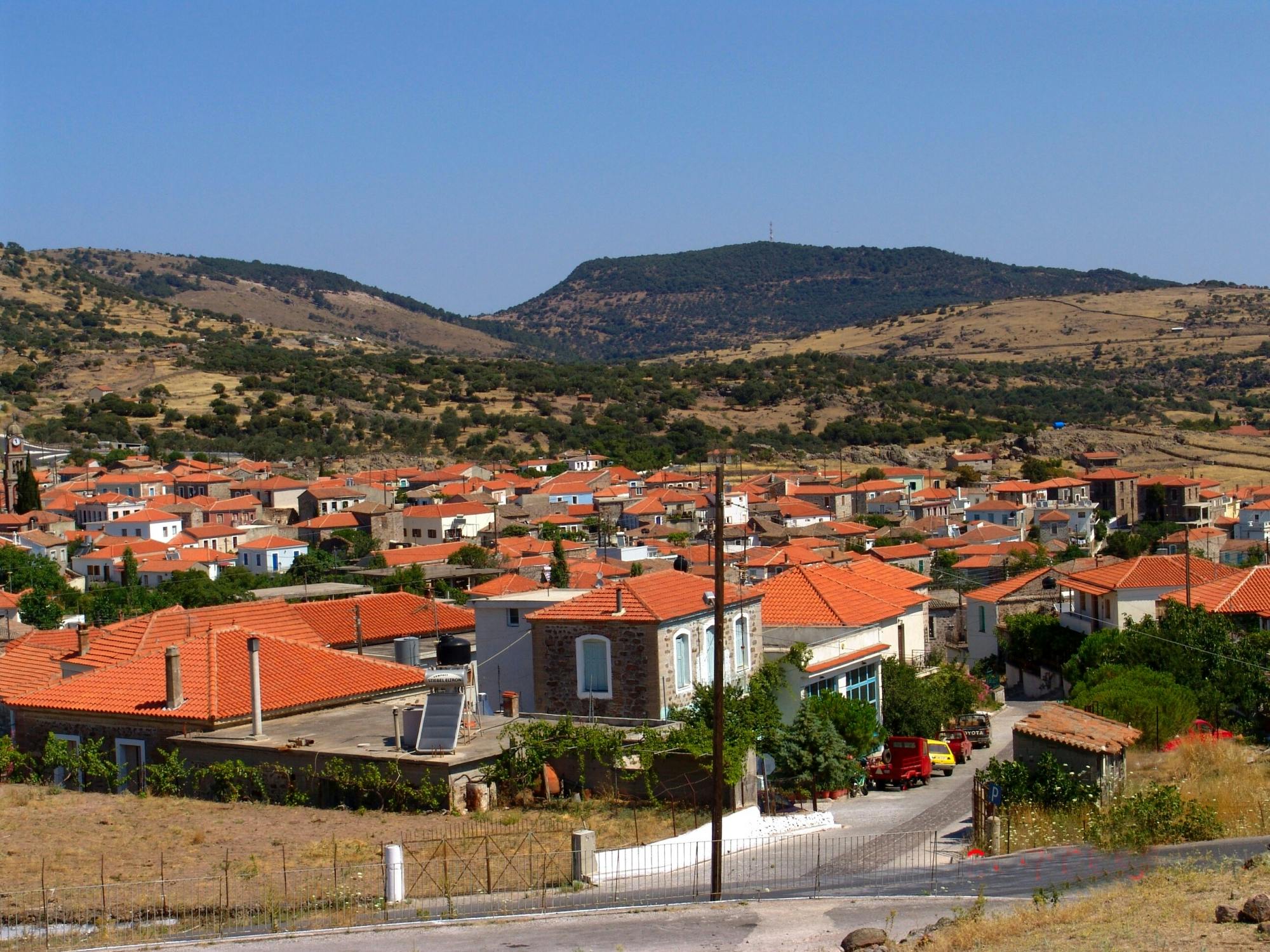 Full-day tour of Lesbos with monastery visit and lunch included