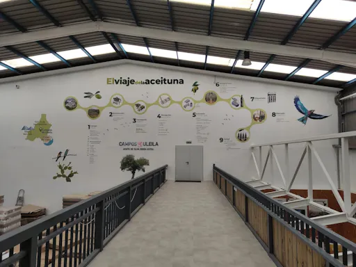 Full-day flavours of Almeria olive oil and wine-tasting tour