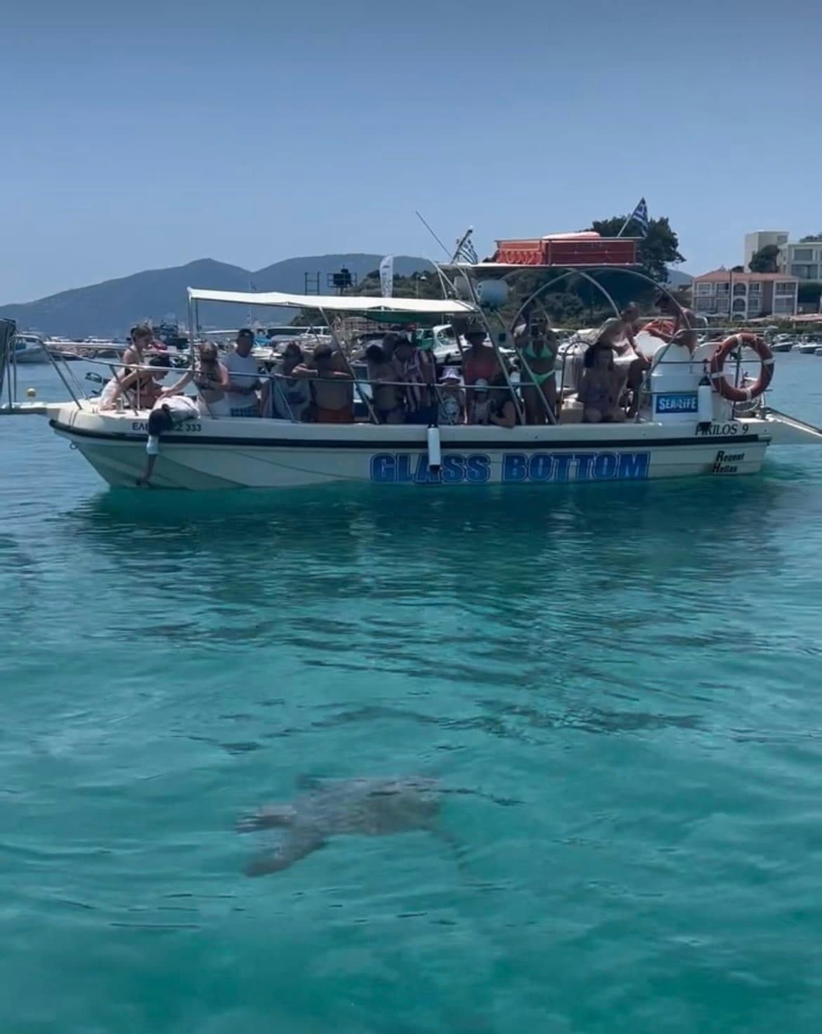 Zante cruise to Turtle Island for private groups