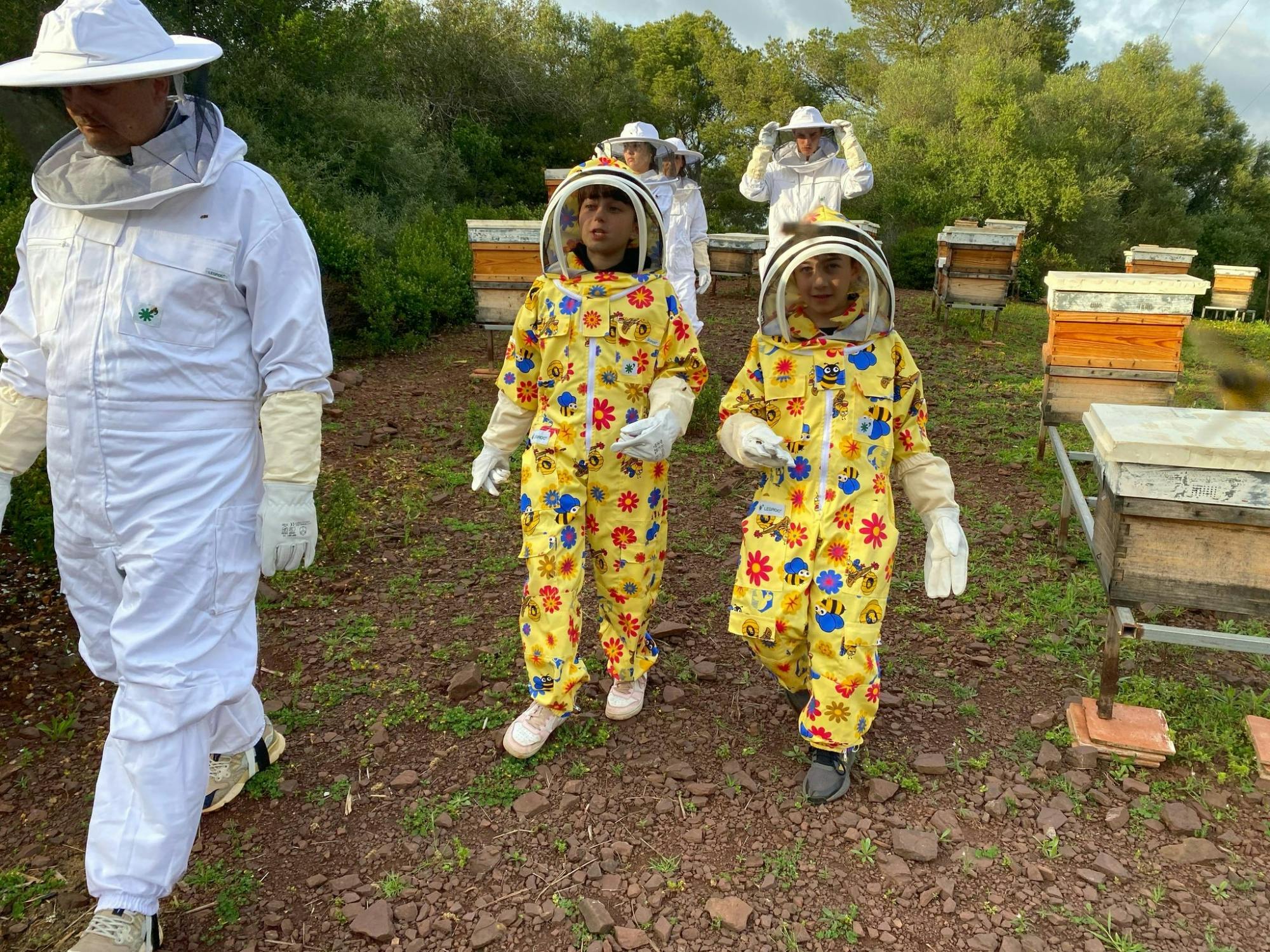 Beekeeping experience and honey-tasting in Menorca