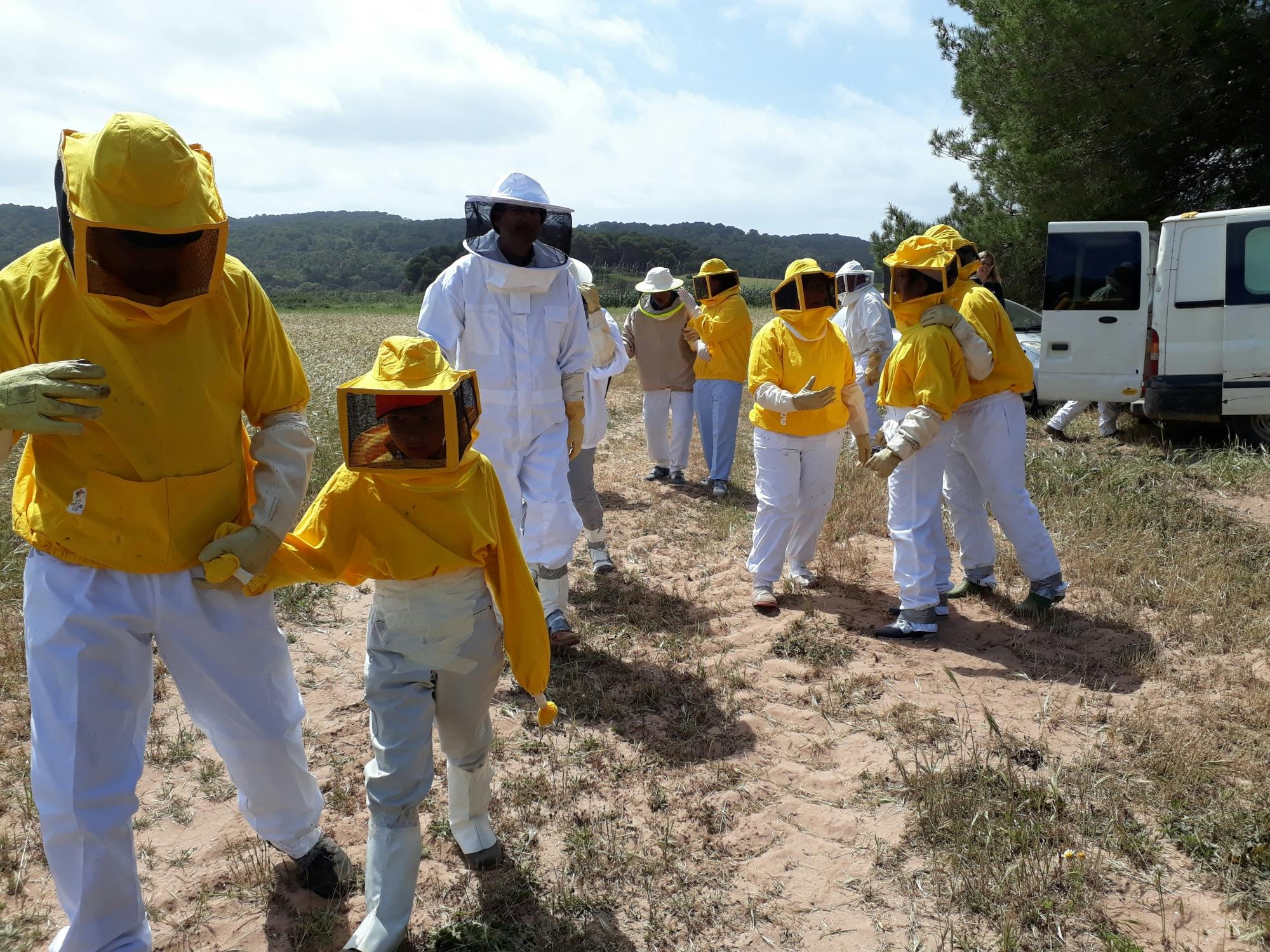 Beekeeping experience and honey-tasting in Menorca