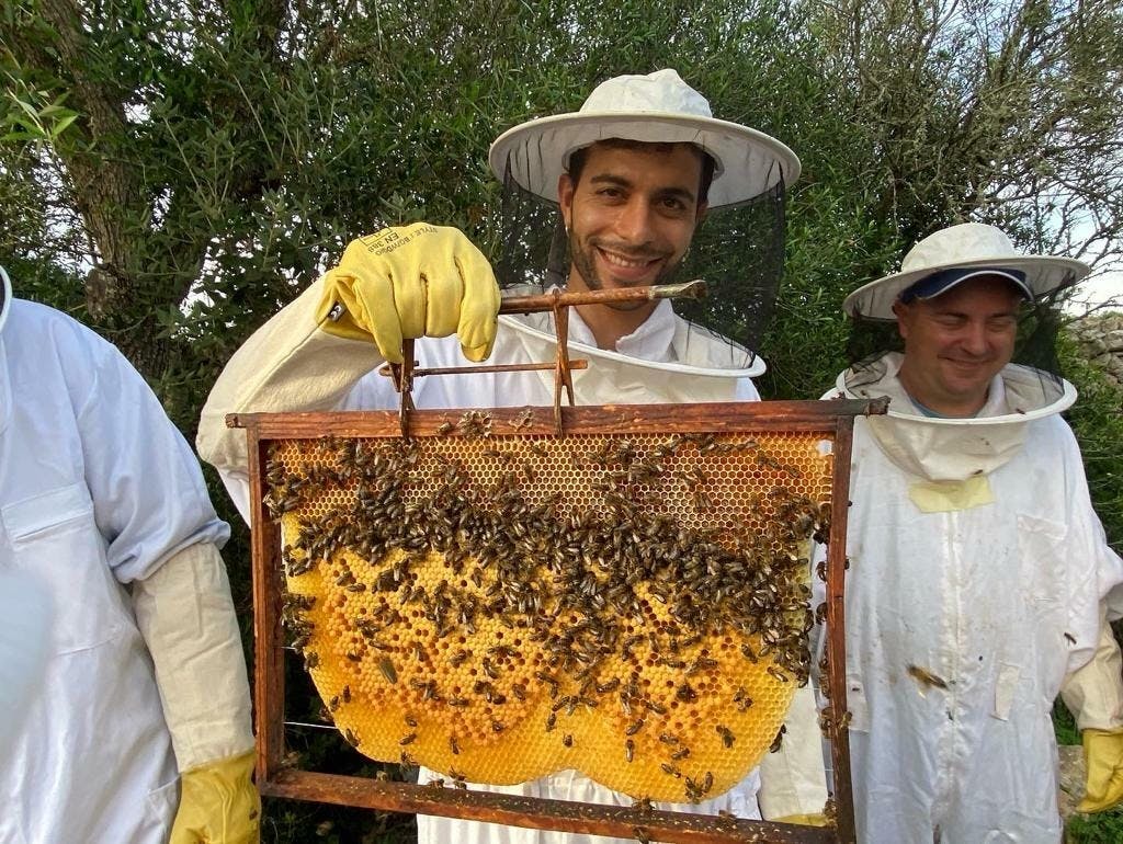 Beekeeping experience and honey-tasting in Menorca
