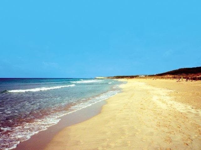 Lloc de Menorca animal park with free time at Son Bou Beach