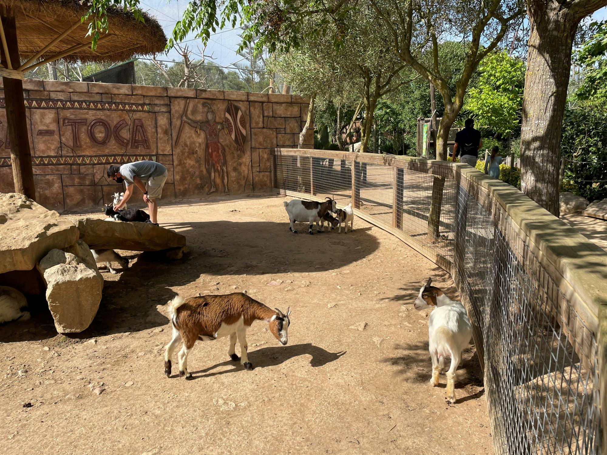 Lloc de Menorca animal park with free time at Son Bou Beach