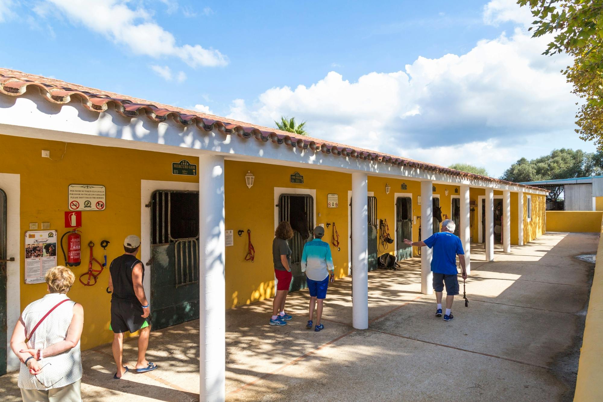 Menorca tour with Fornells, Binissues and Son Martorellet's horses