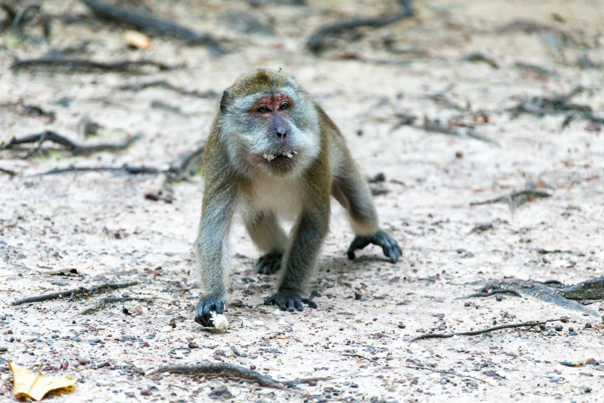 Barcelona Zoo visit and free time