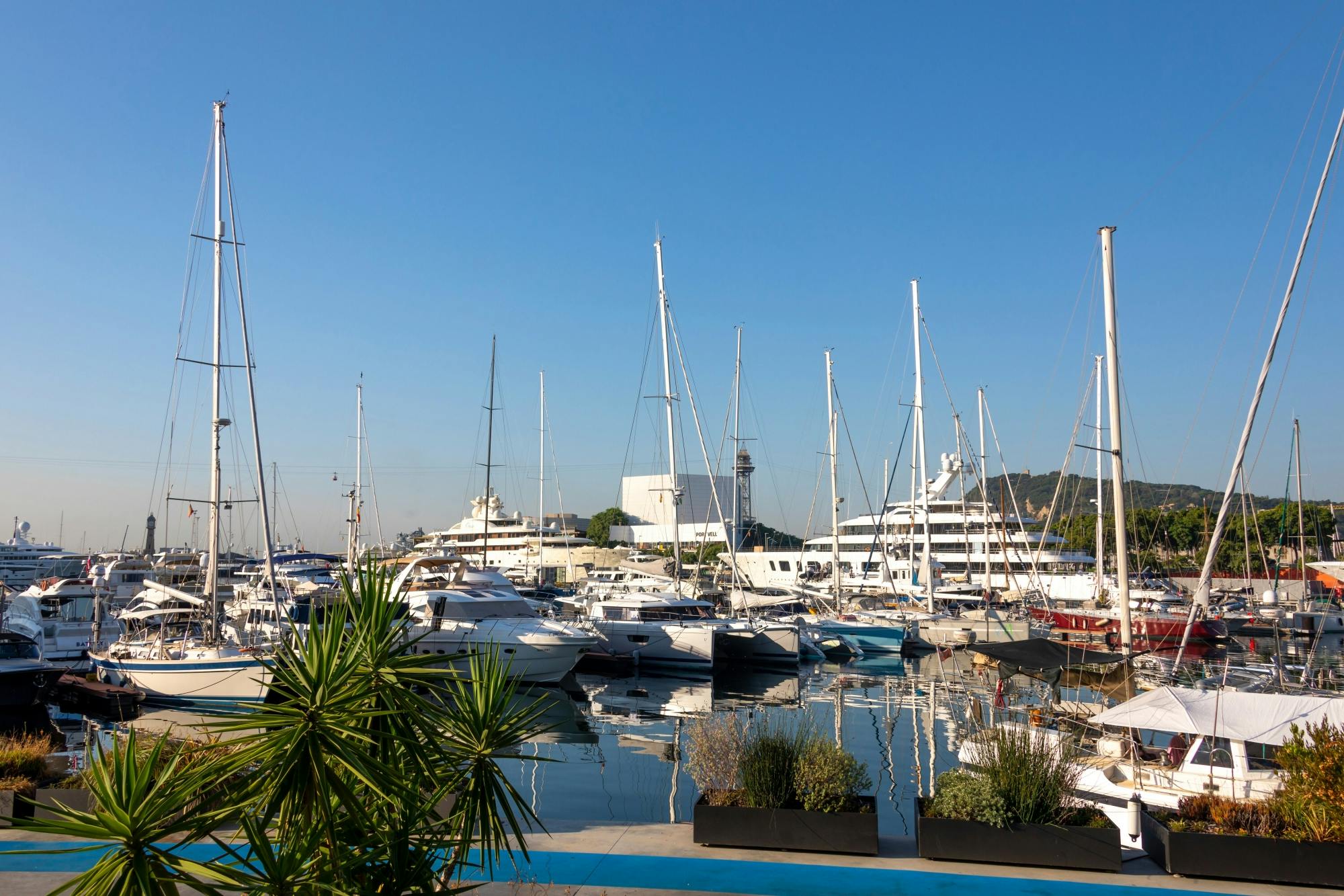 Immersive tour at FC Barcelona Museum and free time in the city