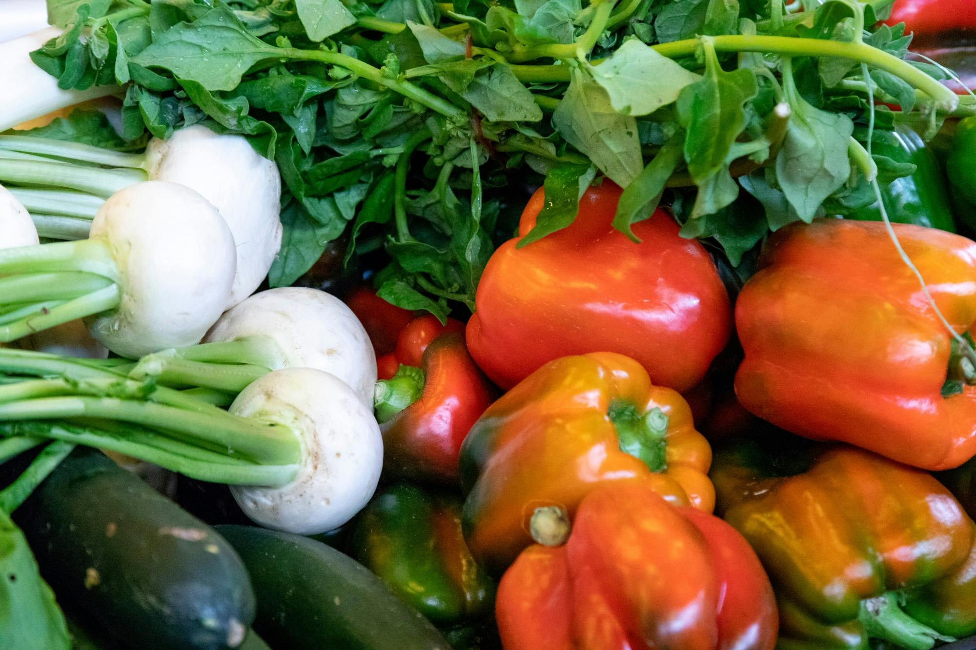 Bonavista Market shopping tour