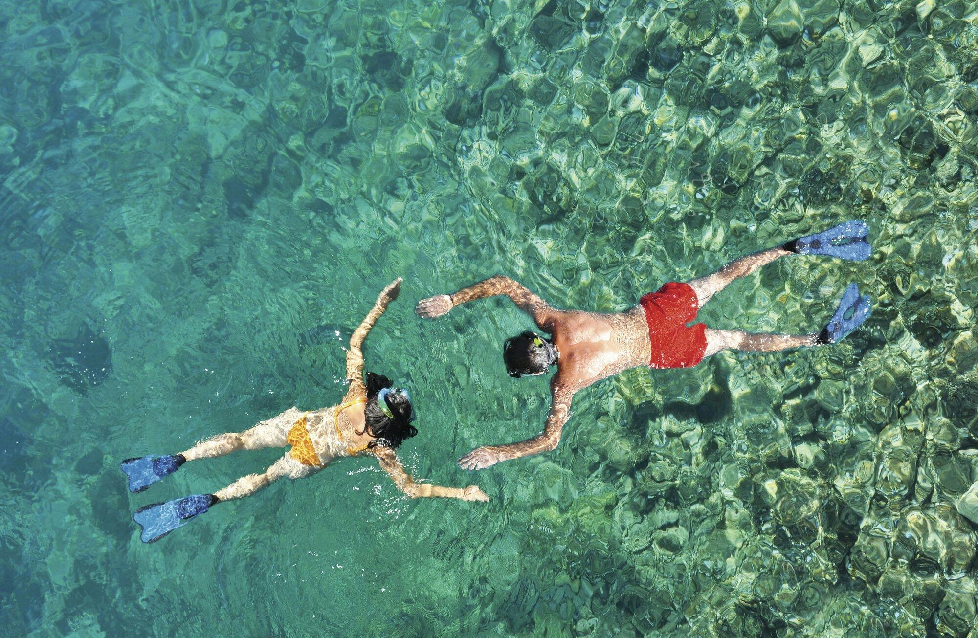 Guided offshore snorkeling excursion with Scuba Plus