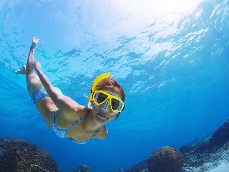 Guided offshore snorkeling excursion with Scuba Plus