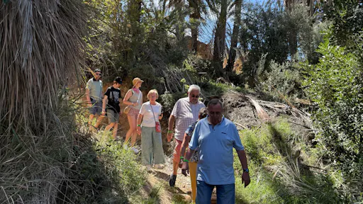 Half-day trip to Paradise Valley of Tizgui