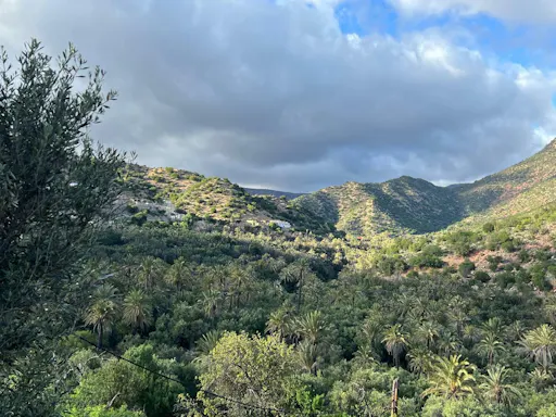 Half-day trip to Paradise Valley of Tizgui