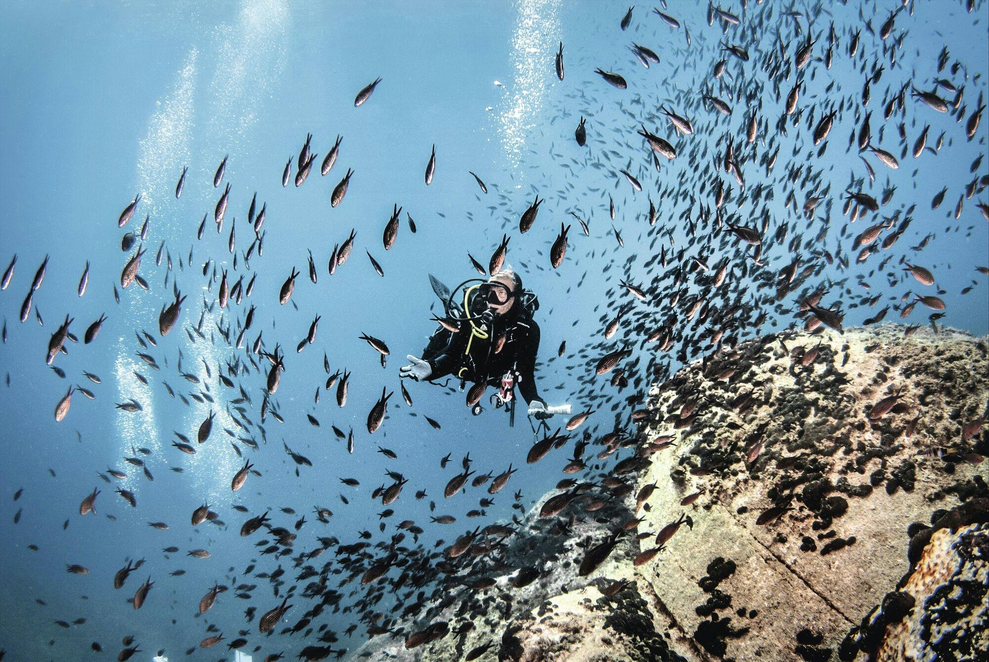 Two-day scuba diving course with equipment by Scuba Plus