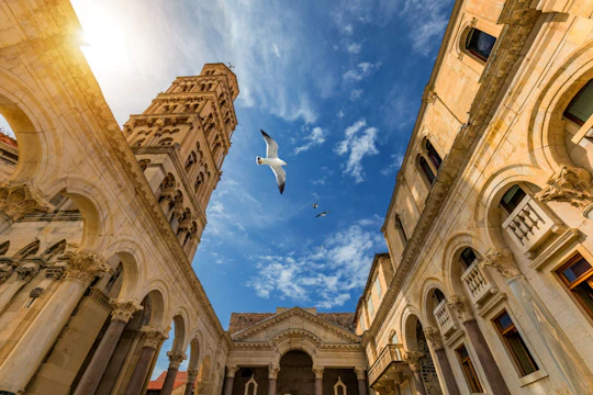 Split guided walking tour with local historian