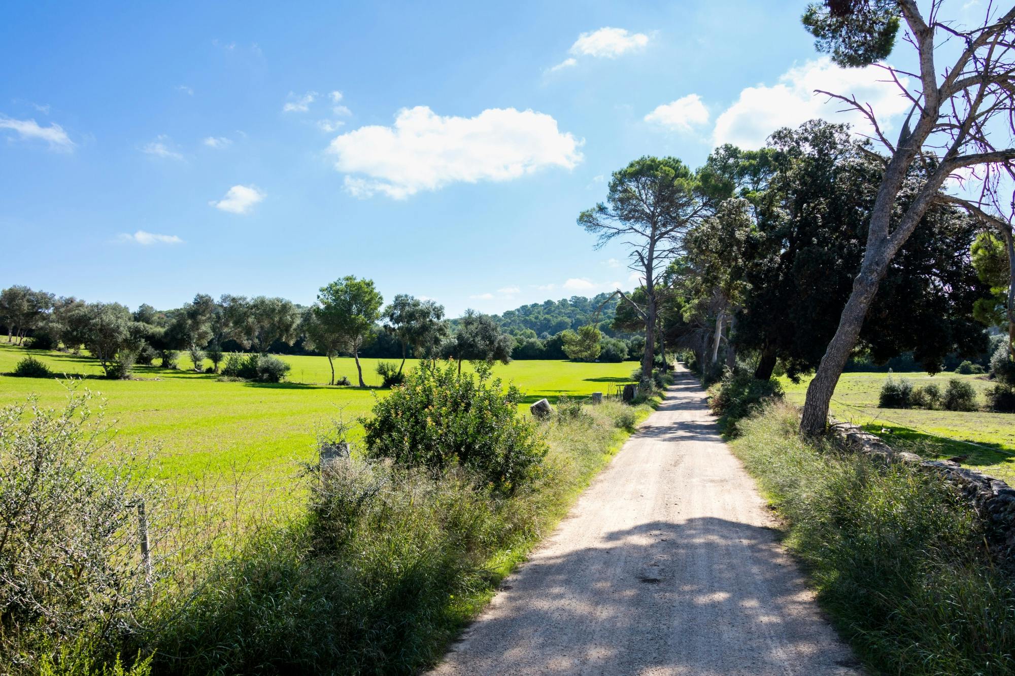 Self‑Guided visit to Subaida Cheese Farm – including local tasting experience