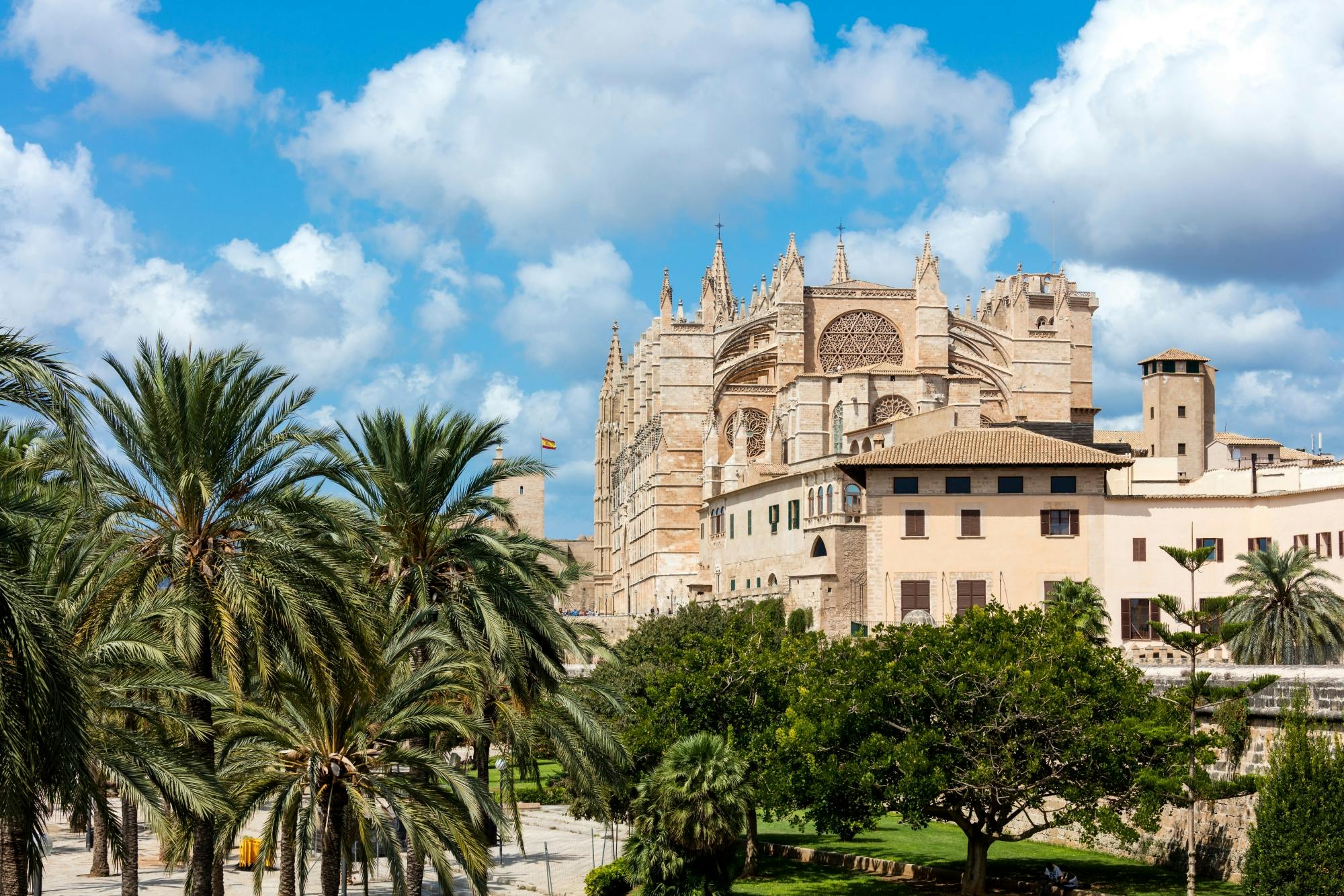 Palma Tours with Cathedral and Valldemossa Options
