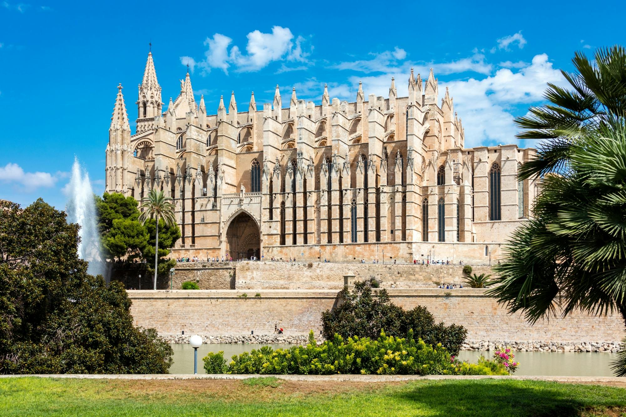 Palma Tours with Cathedral and Valldemossa Options