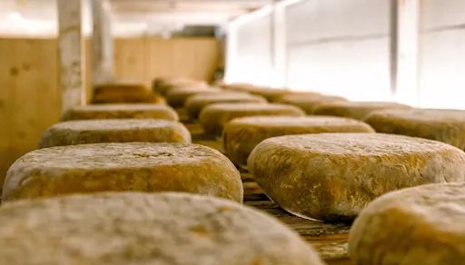 Self‑Guided visit to Subaida Cheese Farm – including local tasting experience