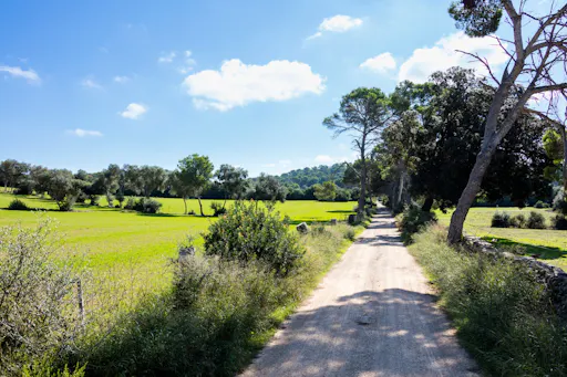 Self‑Guided visit to Subaida Cheese Farm – including local tasting experience