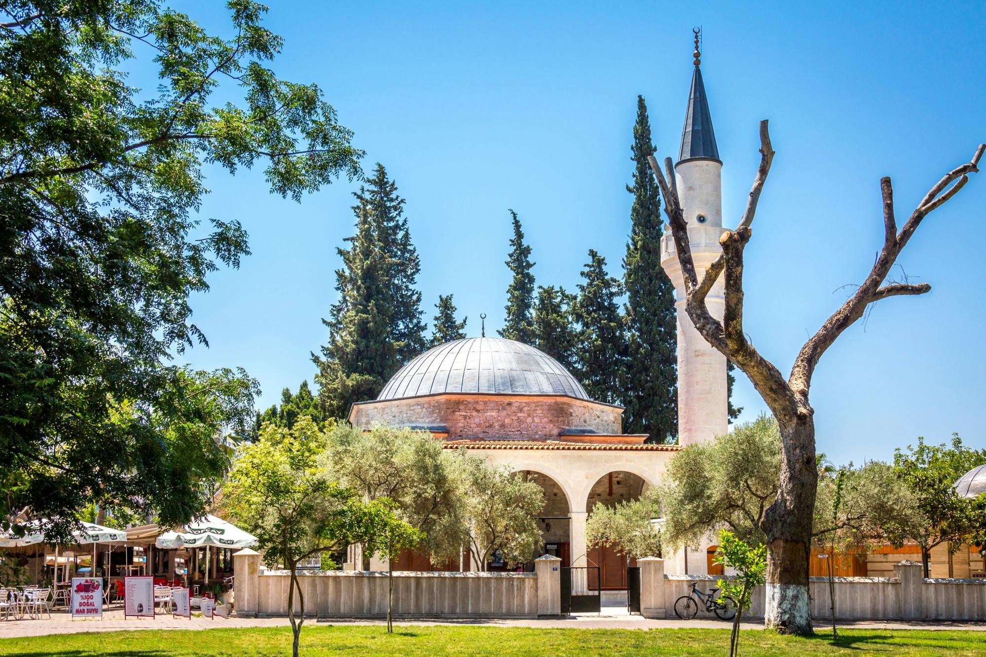 Half-day Dalyan visit with river boat cruise
