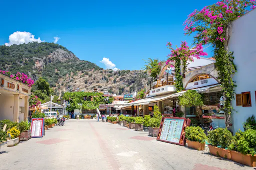 Half-day Dalyan visit with river boat cruise
