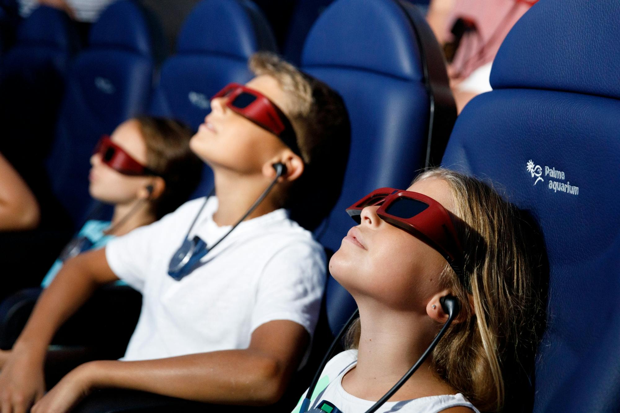 Palma Aquarium with transfer