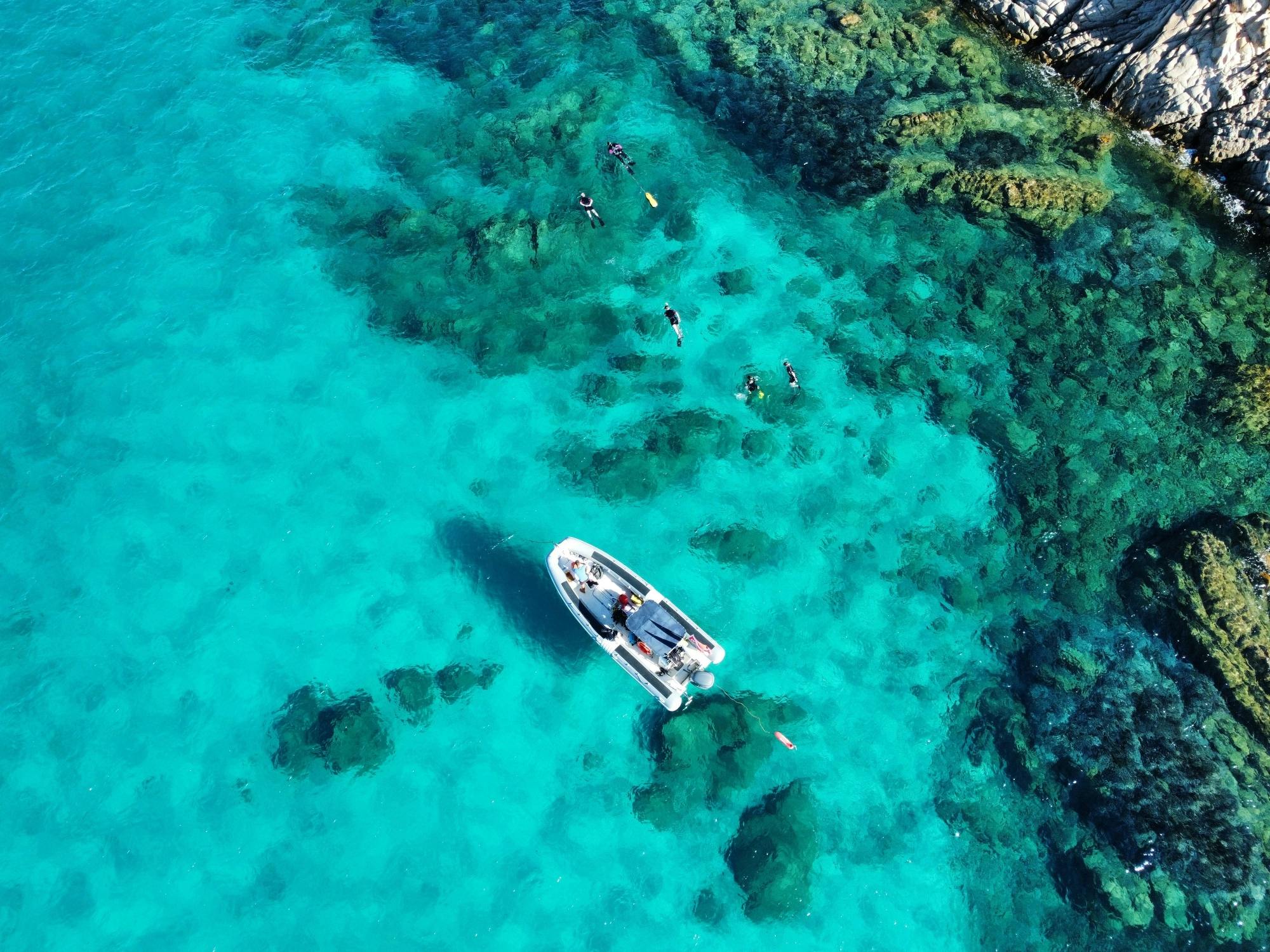 Snorkelling Tavolara and Molara morning