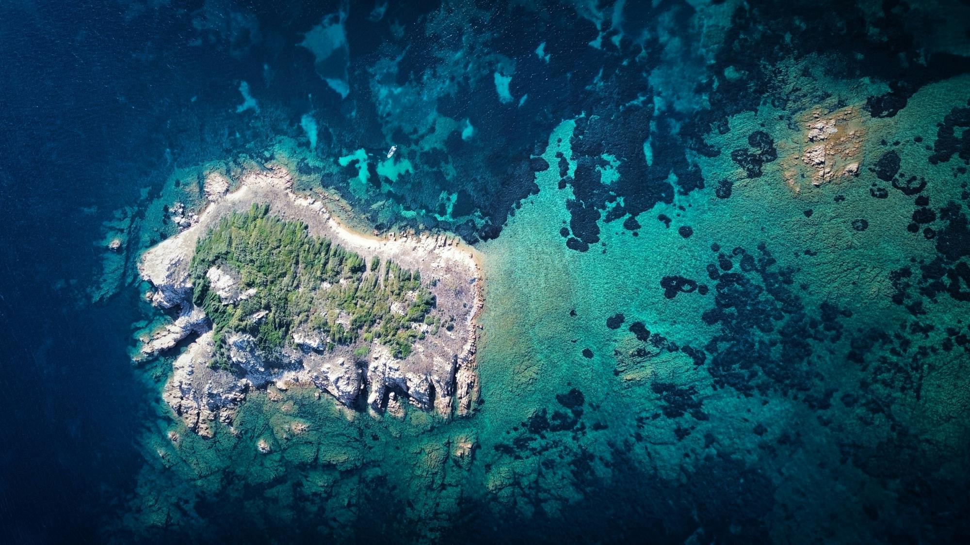 Snorkelling Tavolara and Molara morning