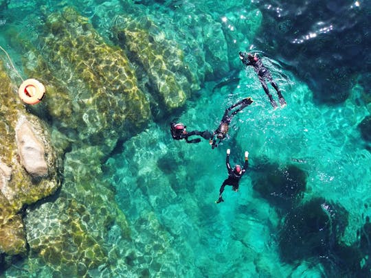 Snorkling Tavolara & Molara Morgen