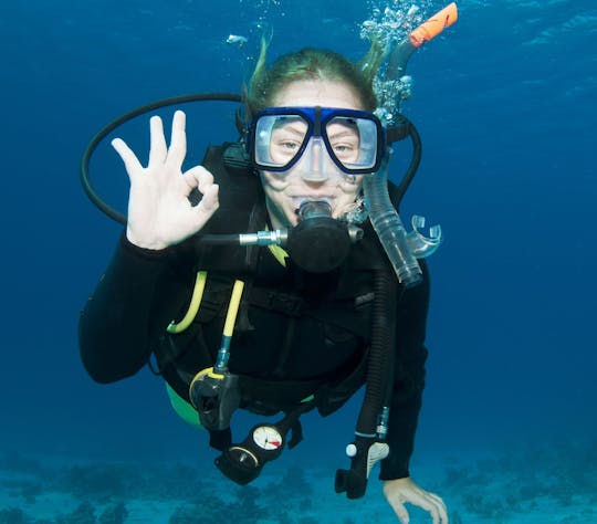 Introduction to scuba diving lesson at Isola Ruja