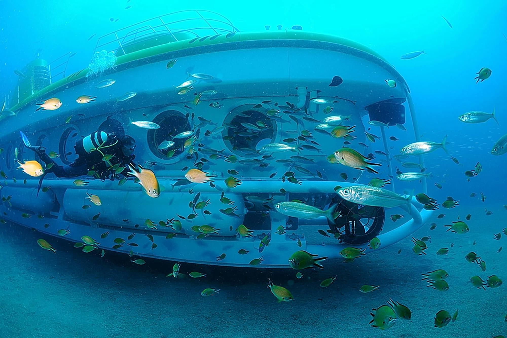 Tenerife submarine safari with transfer from the north