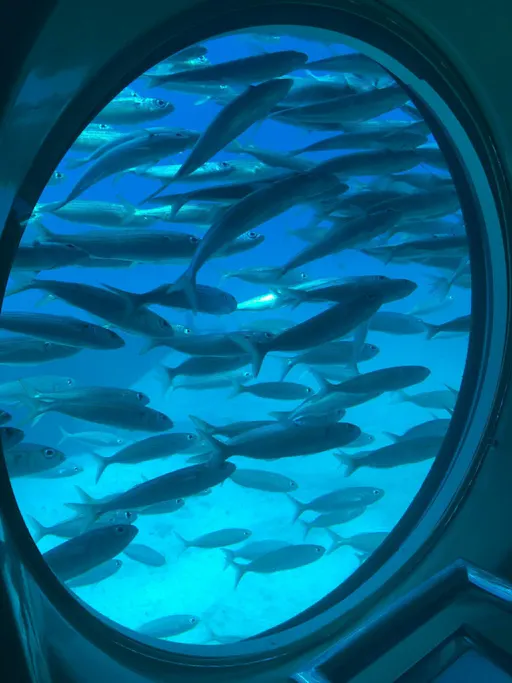 Tenerife submarine safari with transfer from the north