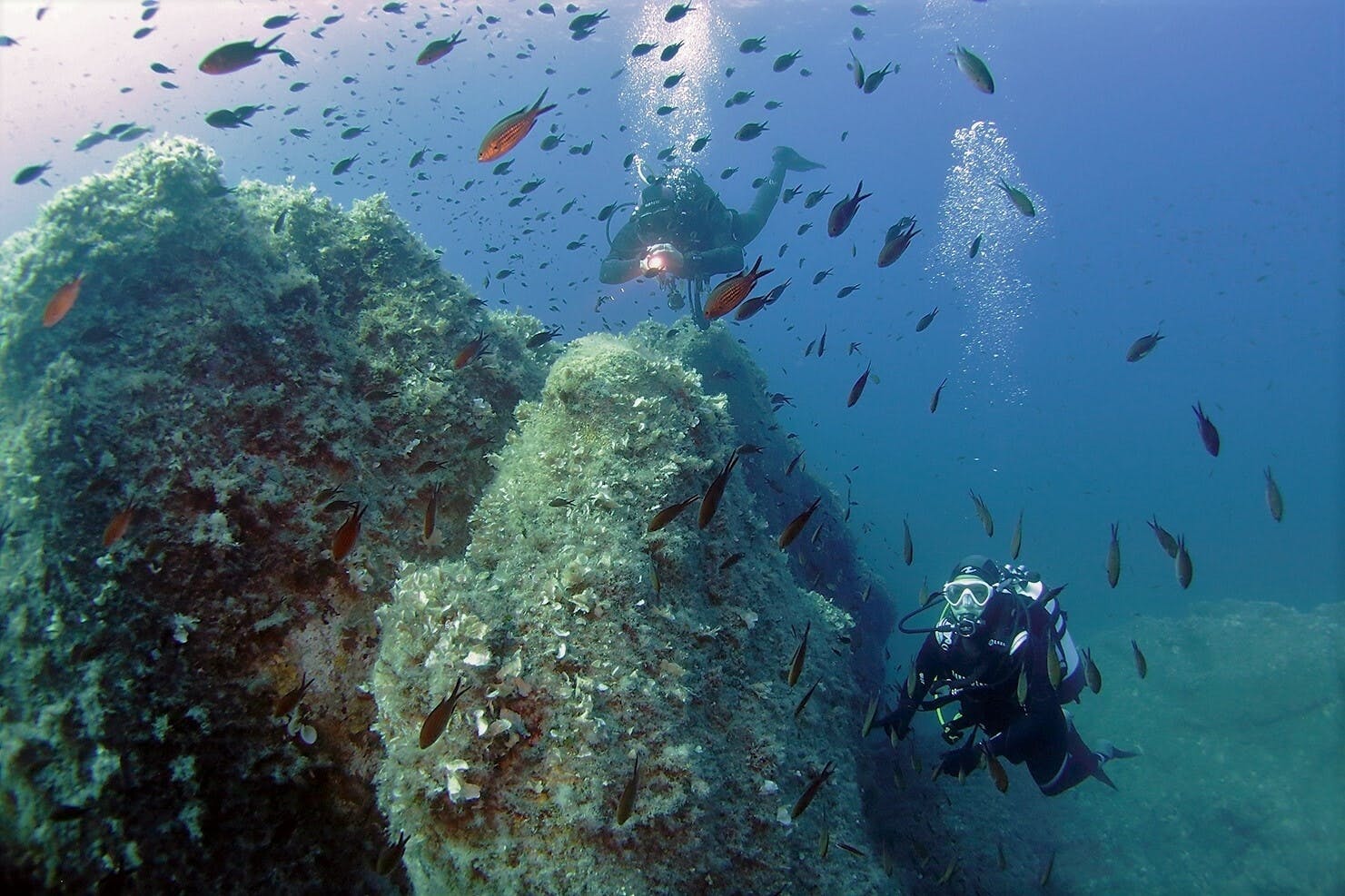 Introduction to scuba diving lesson at Isola Ruja