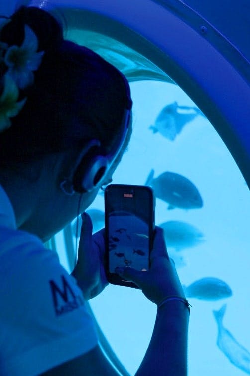 Tenerife submarine safari with transfer from the north