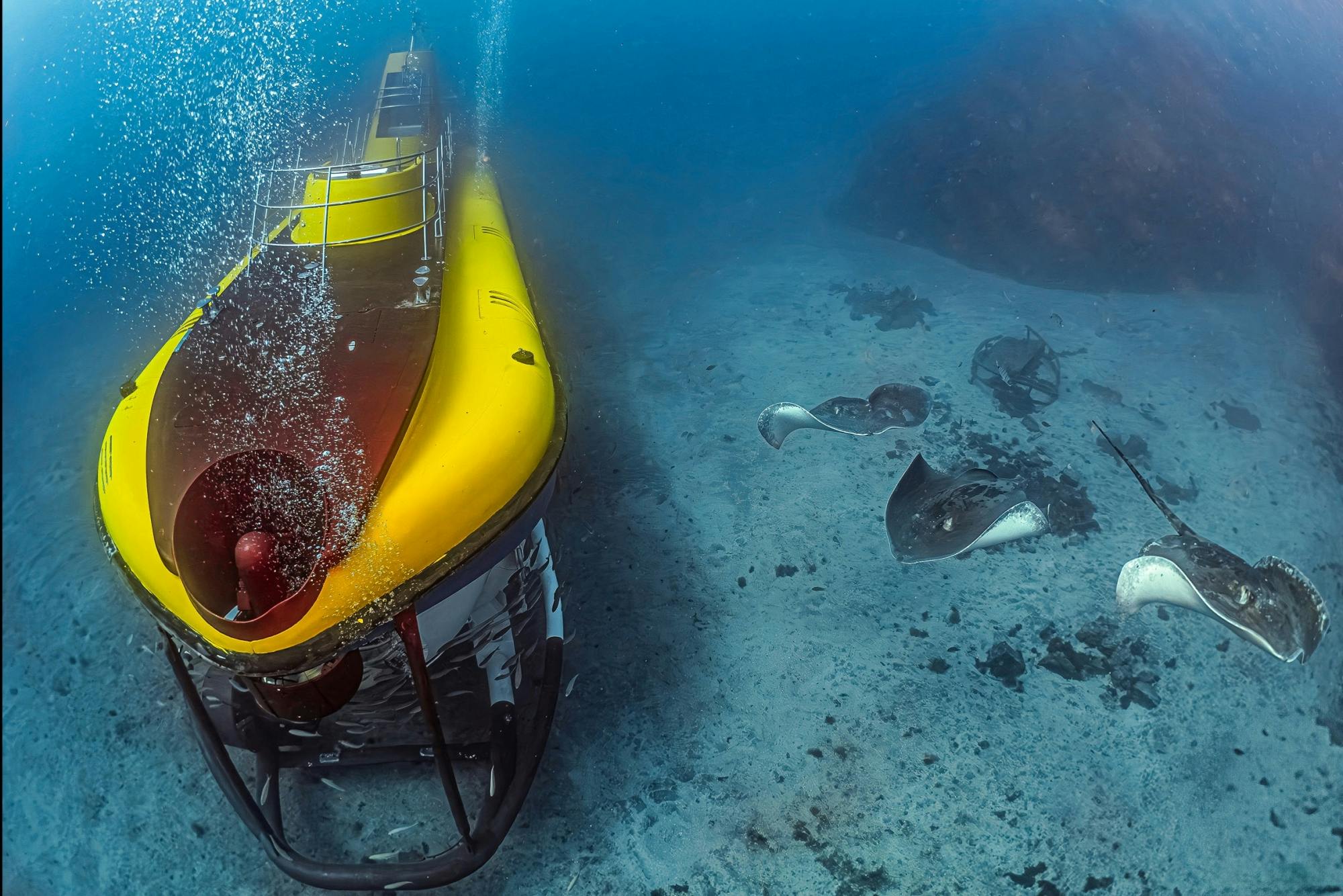 Tenerife submarine safari with transfer from the north