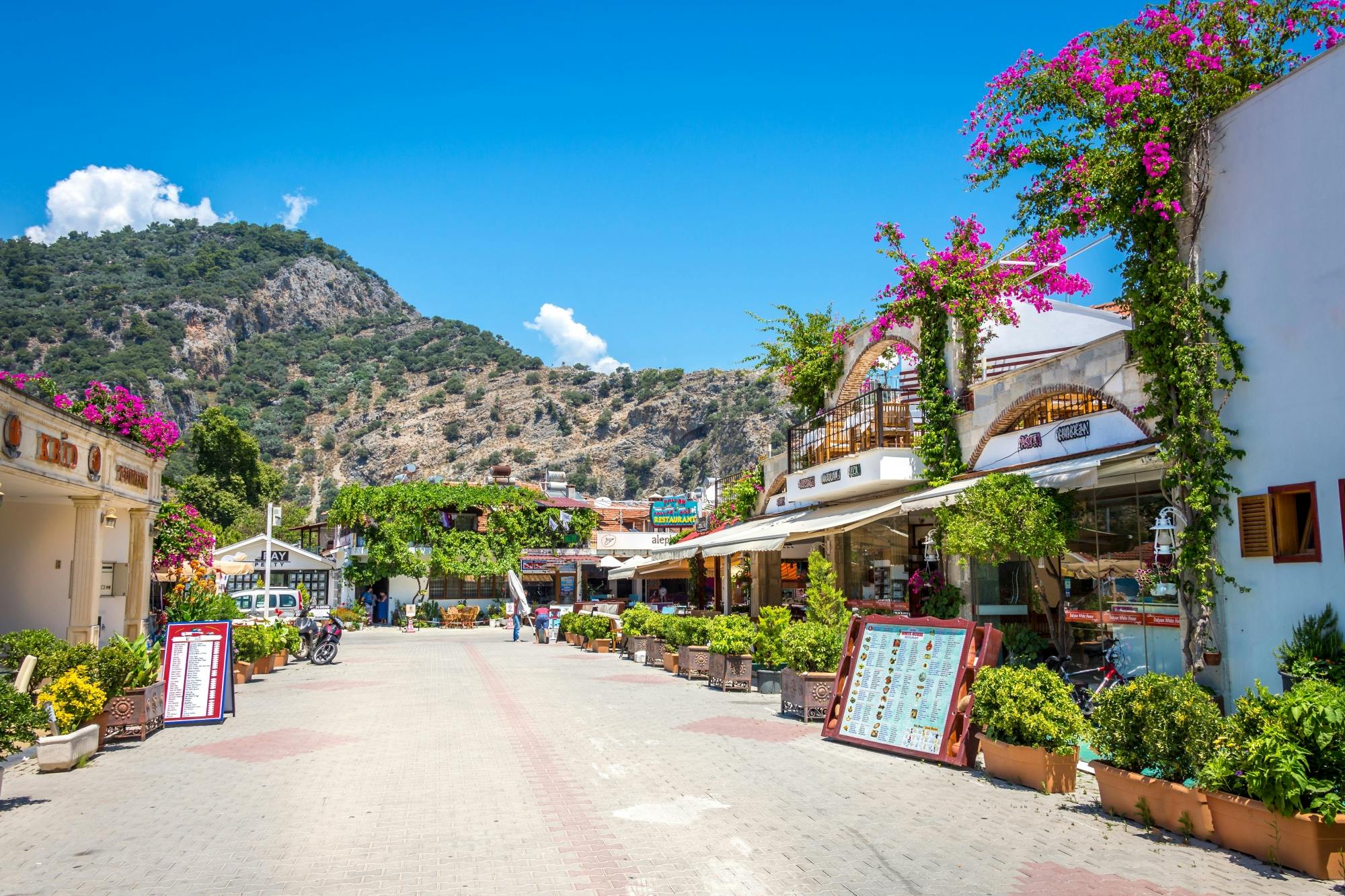 Half-day Dalyan visit with river boat cruise