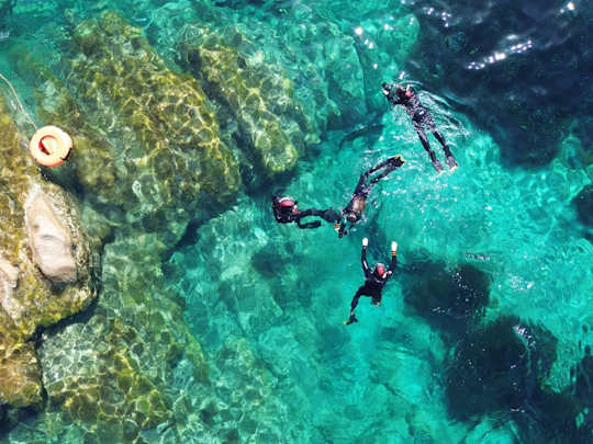 Snorkelling Tavolara and Molara morning