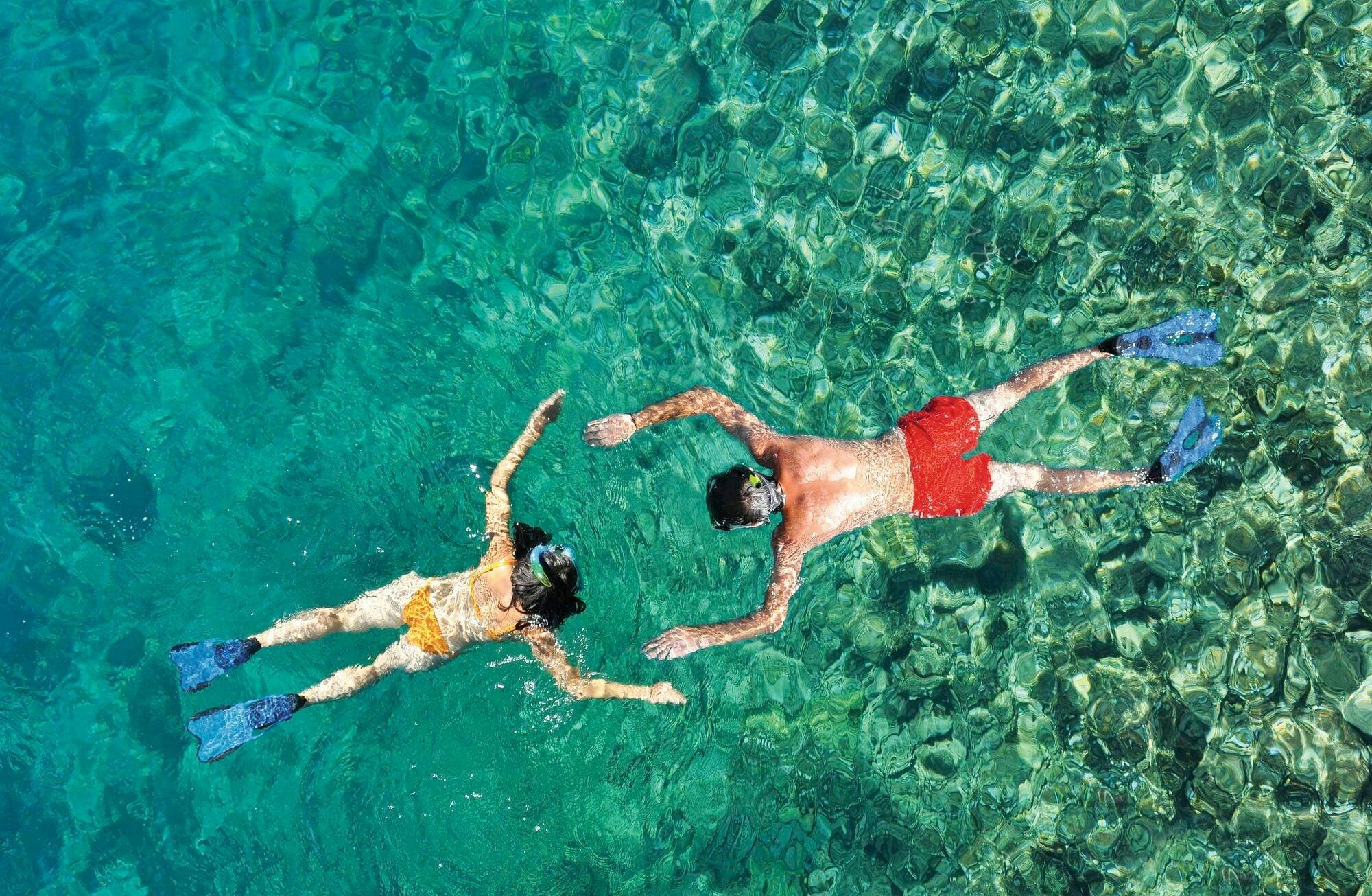 Excursión guiada de snorkel en alta mar con Scuba Plus