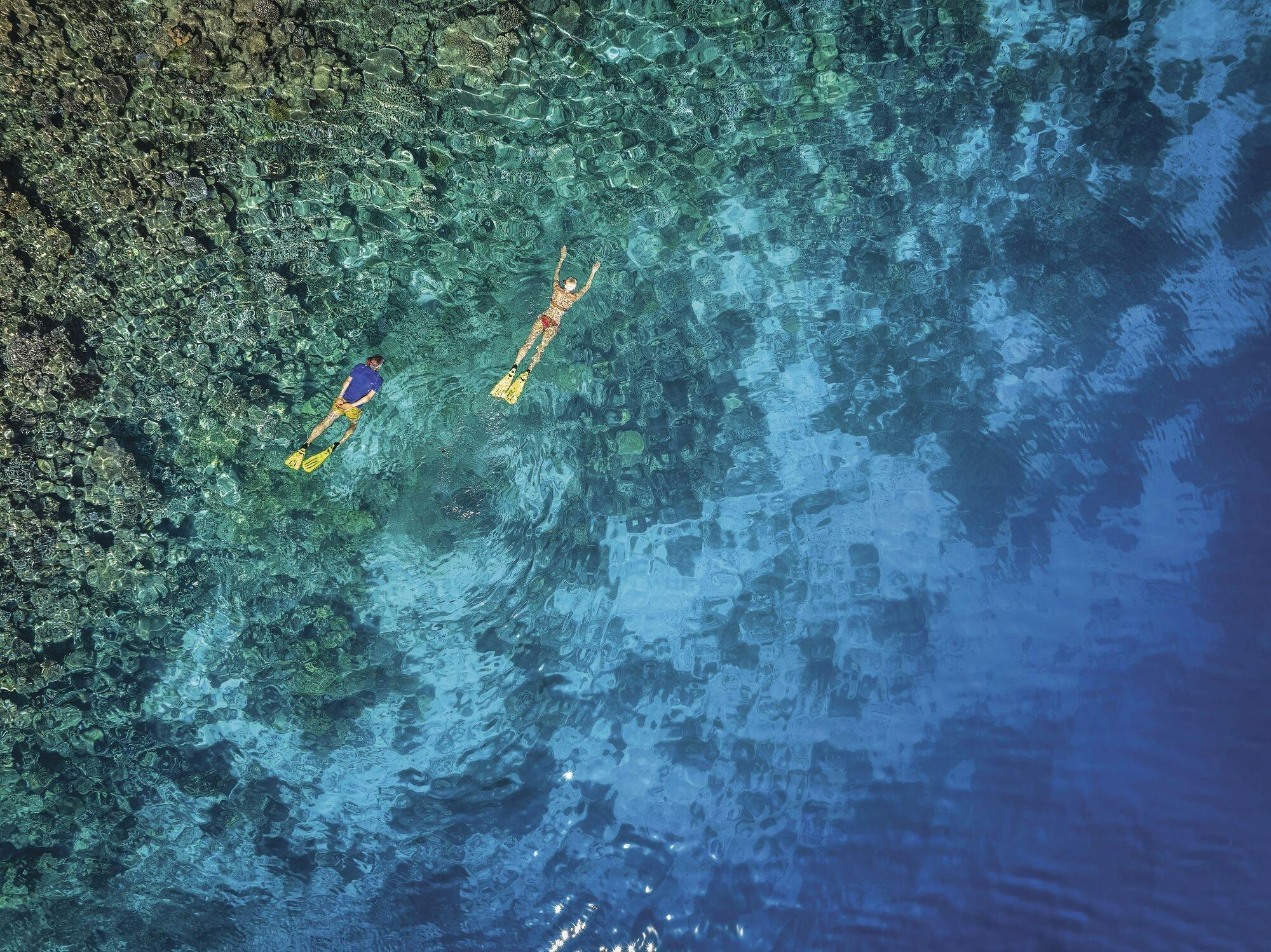 Guided offshore snorkeling excursion with Scuba Plus