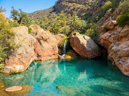 Excursión de medio día al Valle Paradisíaco de Tizgui