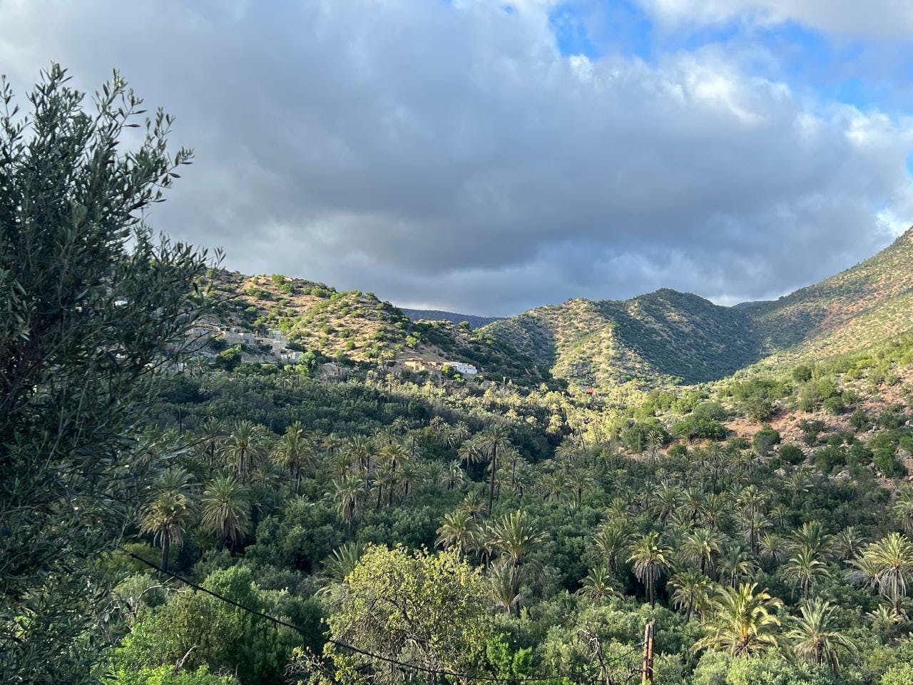 Half-day trip to Paradise Valley of Tizgui