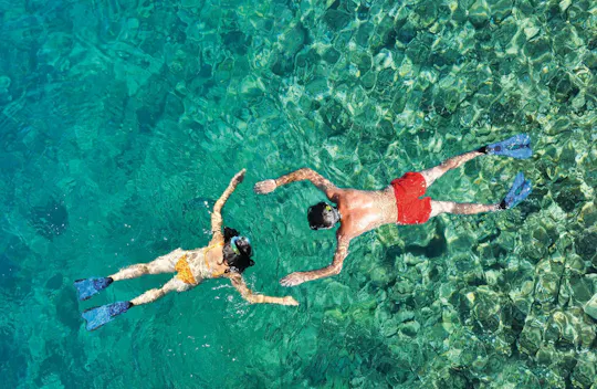 Guided offshore snorkeling excursion with Scuba Plus