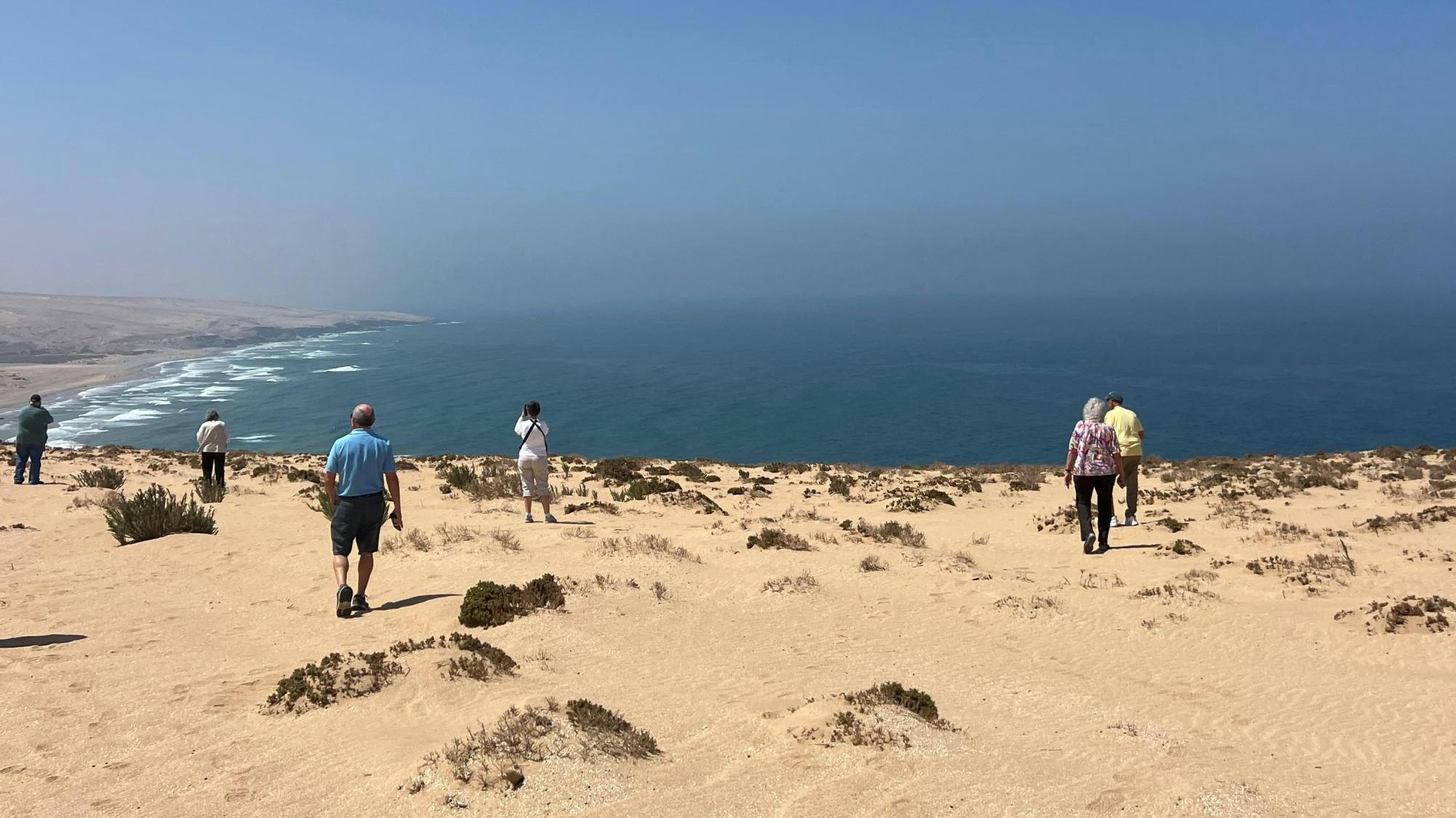 Half-day trip to Paradise Valley of Tizgui