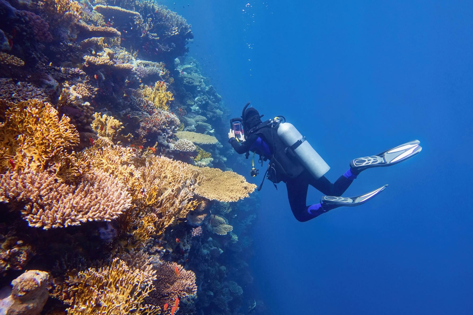 Two-day scuba diving course with equipment by Scuba Plus